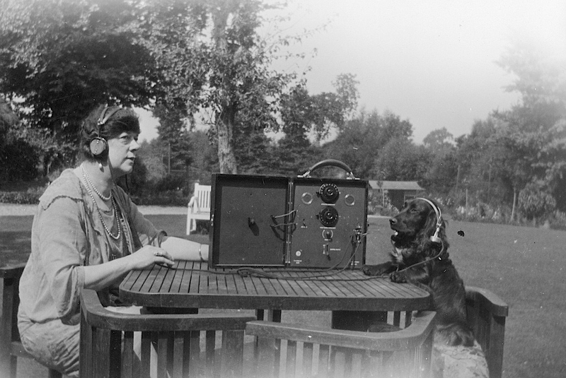 Illustration for article titled Strange Historic Photos Of Intelligent Animals